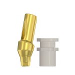 Conical Impression Coping - Conical Connection Angulated Abutments 15° NP