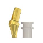 Conical Impression Coping - Conical Connection Angulated Abutments 25° NP