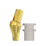 Conical Impression Coping - Conical Connection Angulated Abutments 25° RP